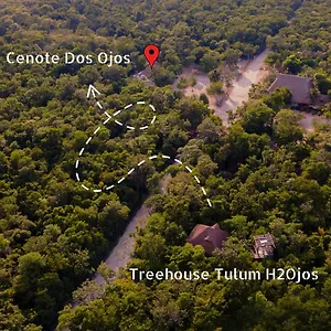 h2ojos-eco-cabins-surrounded-by-nature-and-cenotes-in.tulum-hotels.net/